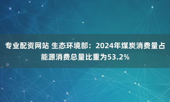 专业配资网站 生态环境部：2024年煤炭消费量占能源消费总量比重为53.2%