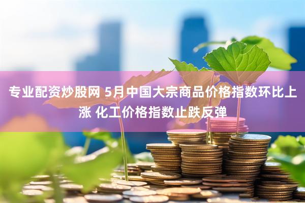 专业配资炒股网 5月中国大宗商品价格指数环比上涨 化工价格指数止跌反弹