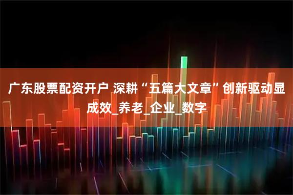 广东股票配资开户 深耕“五篇大文章”创新驱动显成效_养老_企业_数字