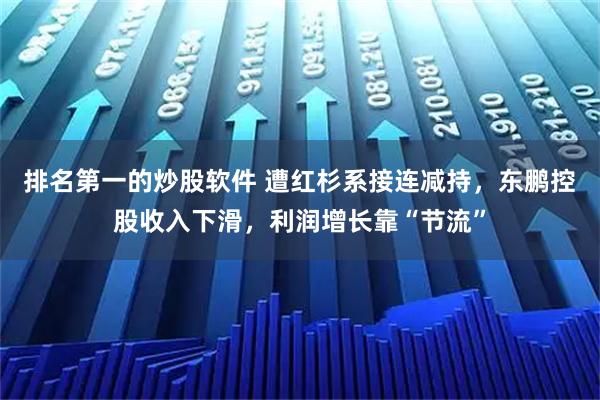 排名第一的炒股软件 遭红杉系接连减持，东鹏控股收入下滑，利润增长靠“节流”